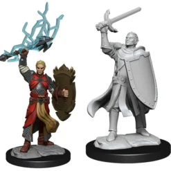 Male Half-Elf Paladin