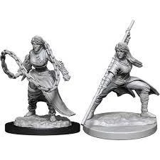 Wizards Of The Coast Female Human Monk